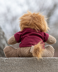 Open Weave Lion with Central Michigan University T-Shirt