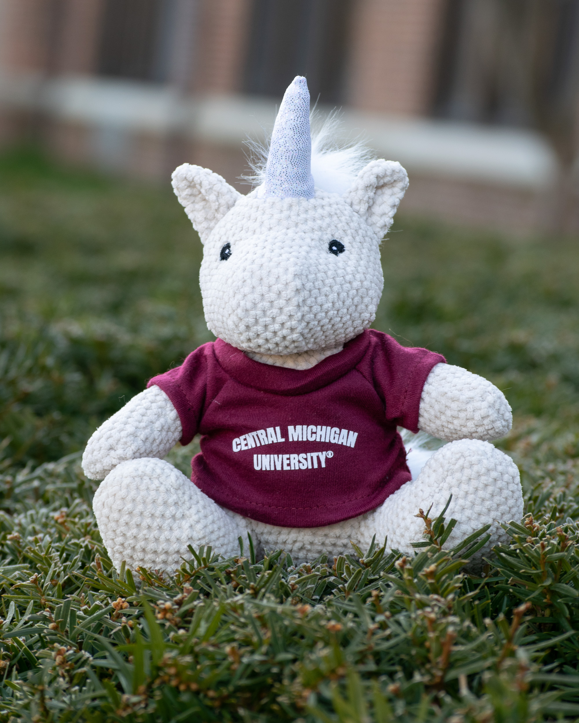 Open Weave Unicorn With Central Michigan University T-shirt<br><brand></brand> (SKU 5054231498)