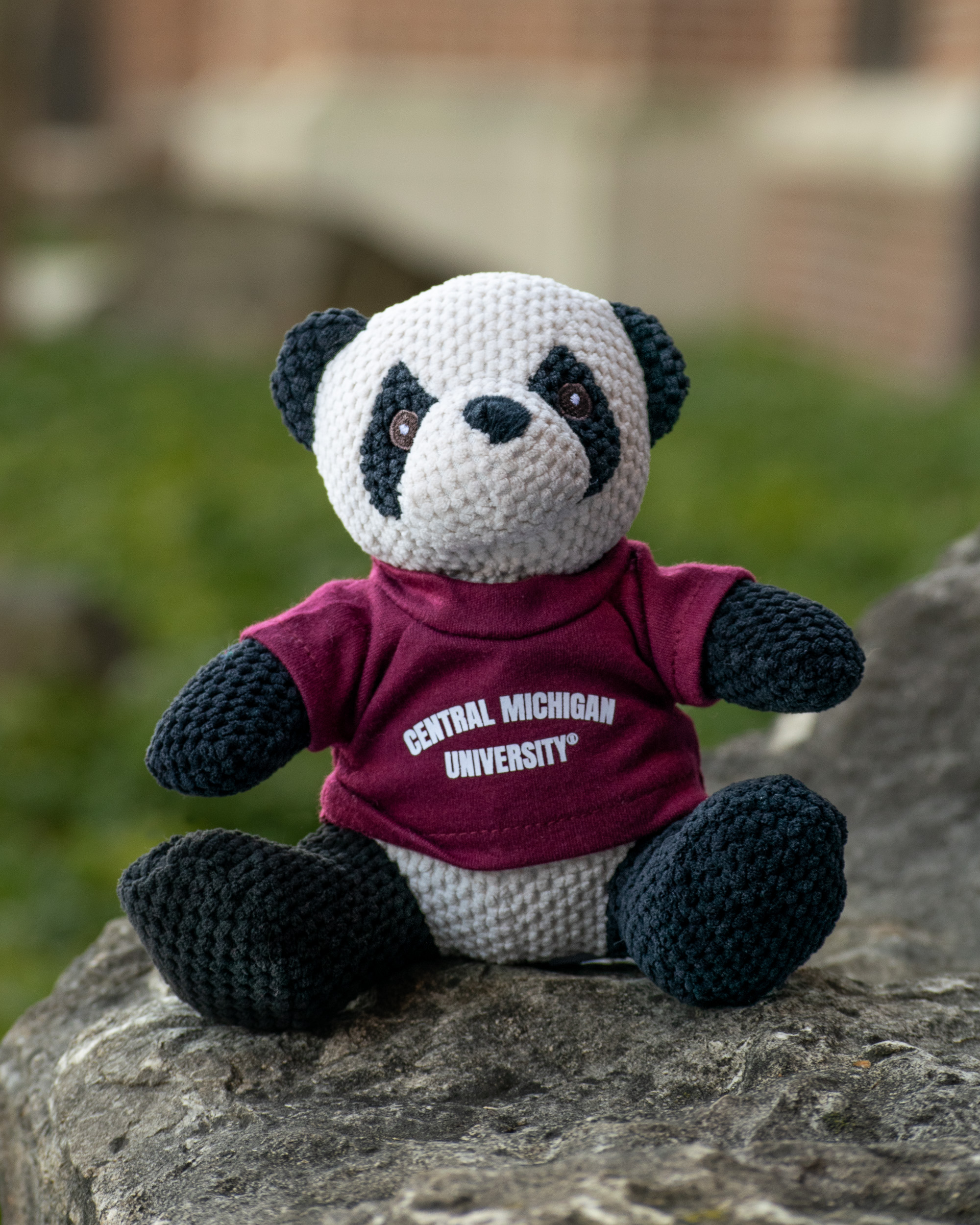Open Weave Panda with Central Michigan University T-Shirt