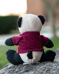 Open Weave Panda with Central Michigan University T-Shirt