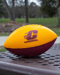 Action C Soft Maroon and Gold Football<br><brand></brand>