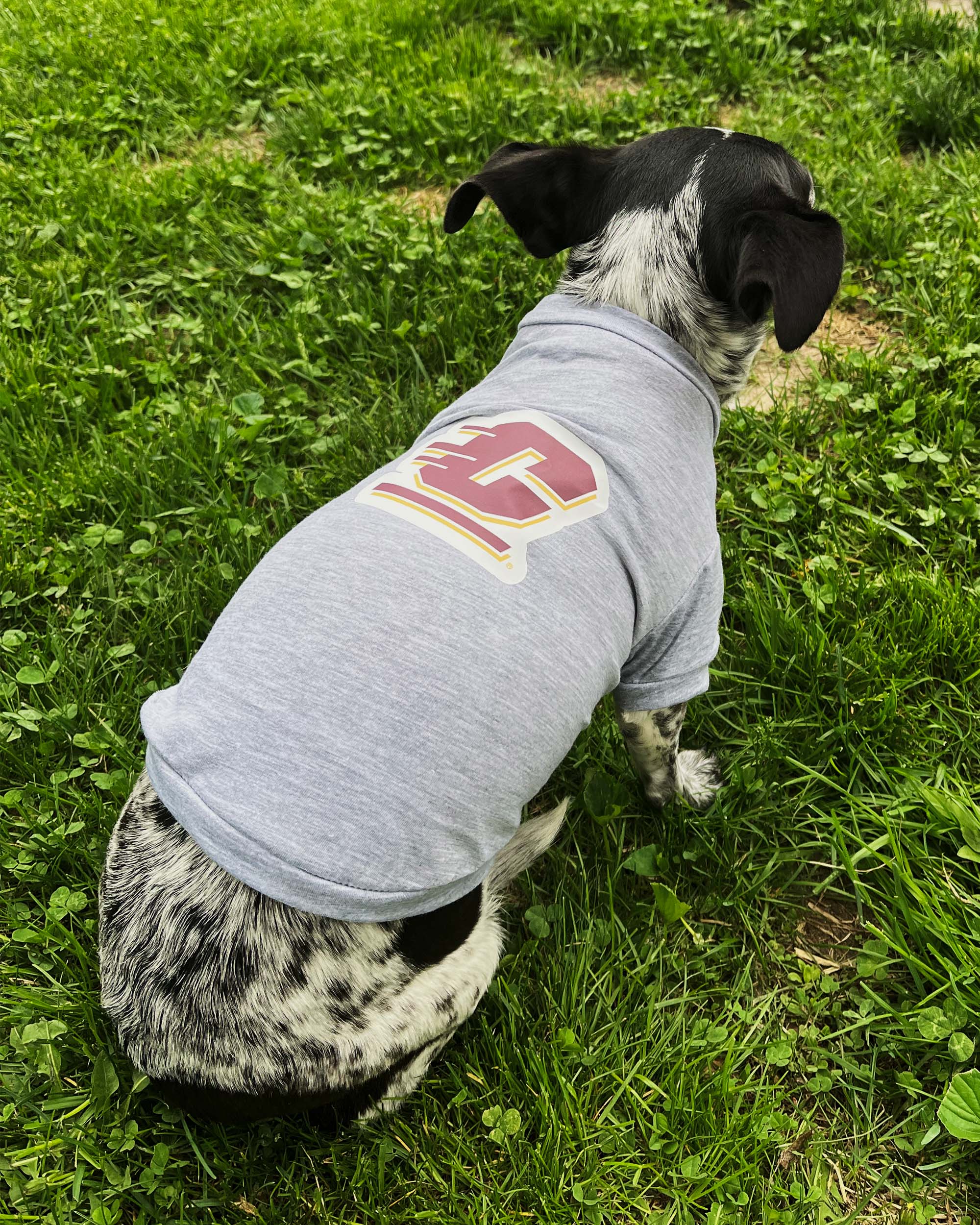 Action C Athletic Gray Dog T-Shirt
