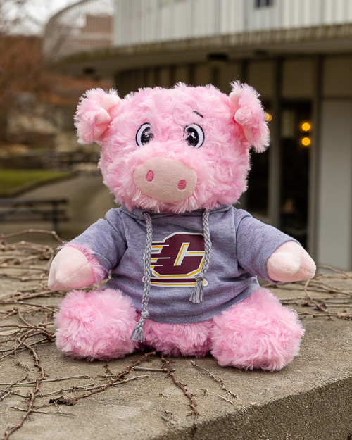 Elliott & Friends Plush Pig with Action C Hoodie