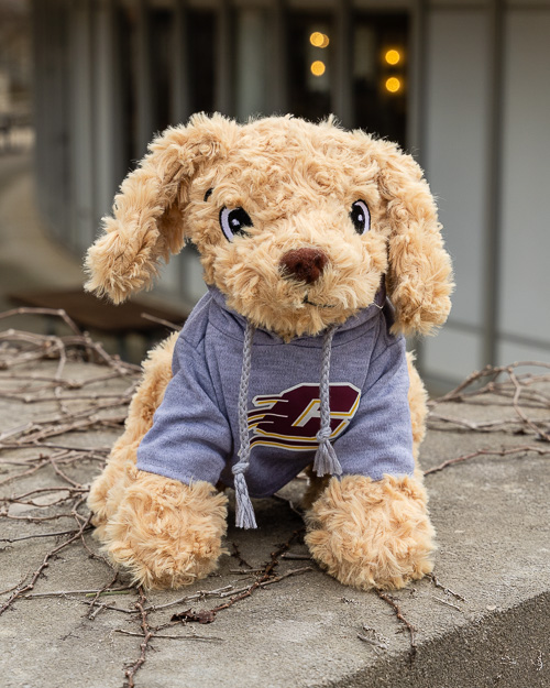 Elliott & Friends Plush Puppy with Action C Hoodie