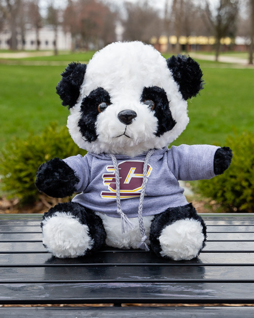 Elliott & Friends Plush Panda Bear with Action C Hoodie<br><brand></brand>