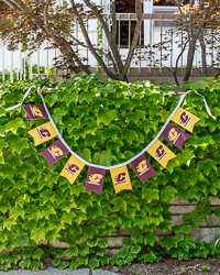 Action C Maroon & Gold Felt String Banner