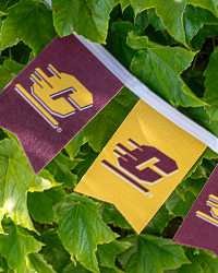 Action C Maroon & Gold Felt String Banner