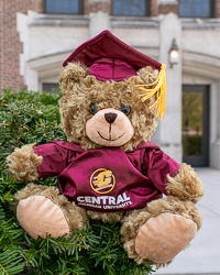Central Michigan Bear with Maroon Cap and Gown