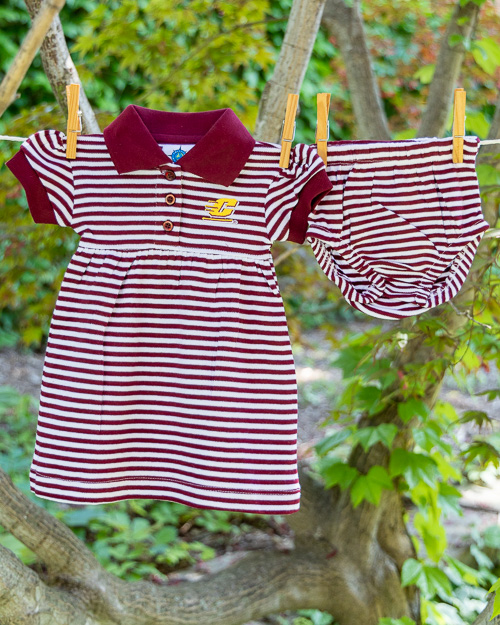 Action C Maroon & White Striped Dress