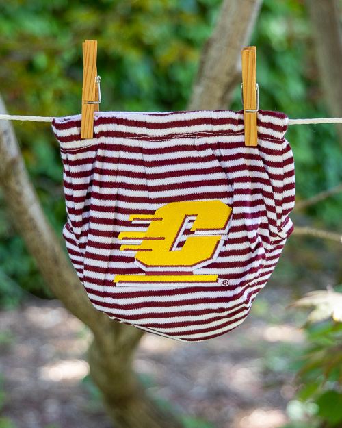 Action C Maroon & White Striped Dress