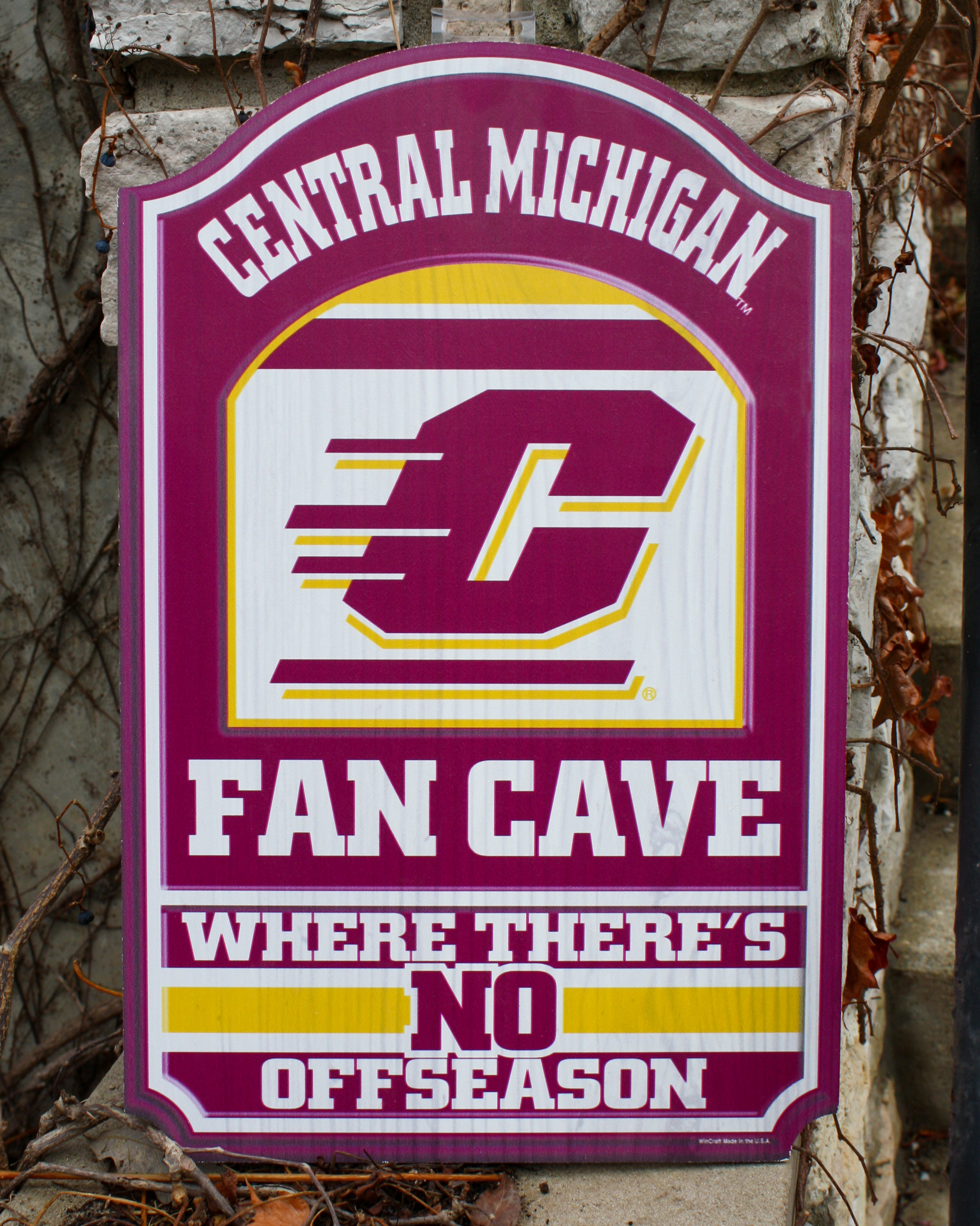 Action C Central Michigan Fan Cave Sign