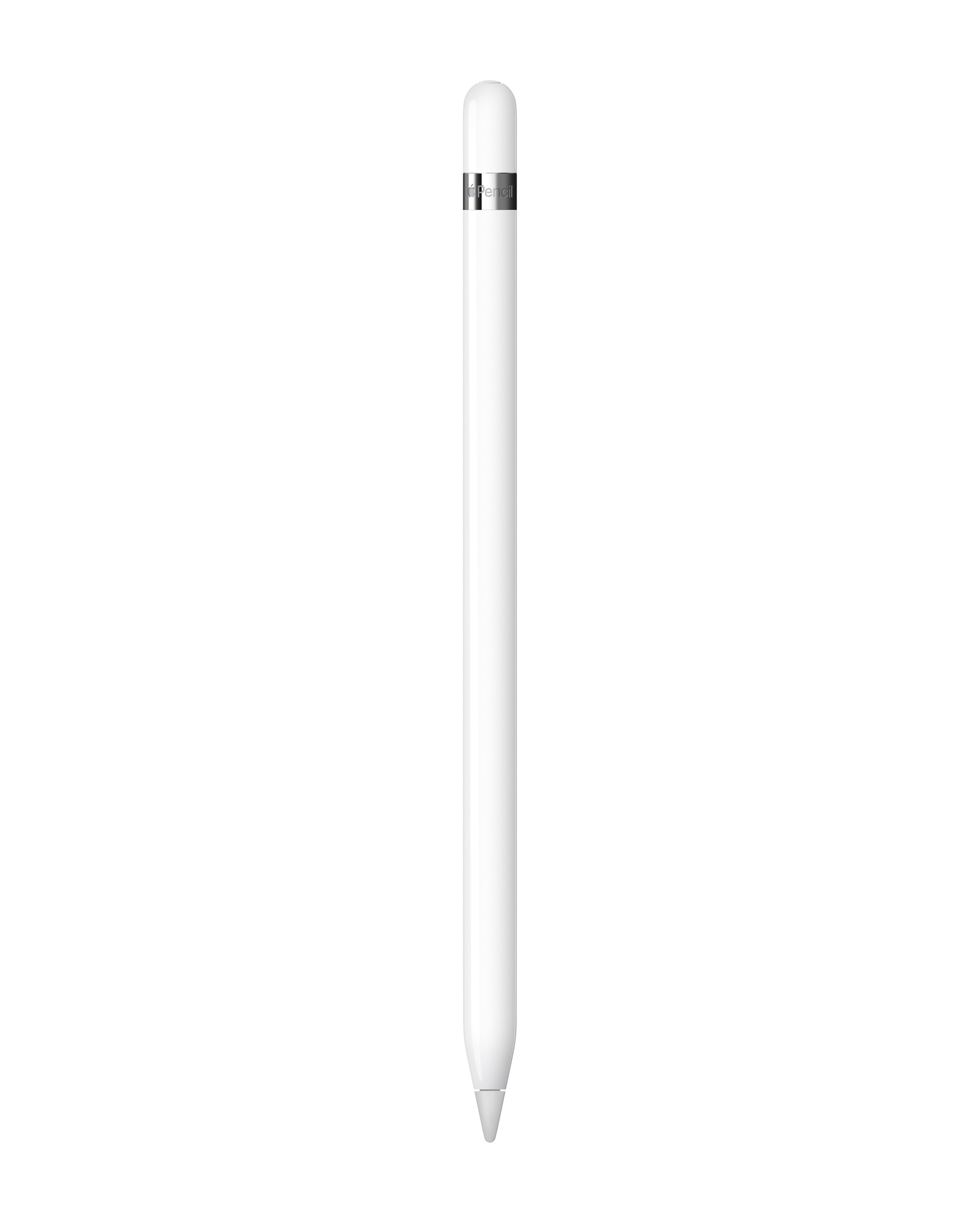 Apple Pencil (1st Generation with USB-C Adapter)