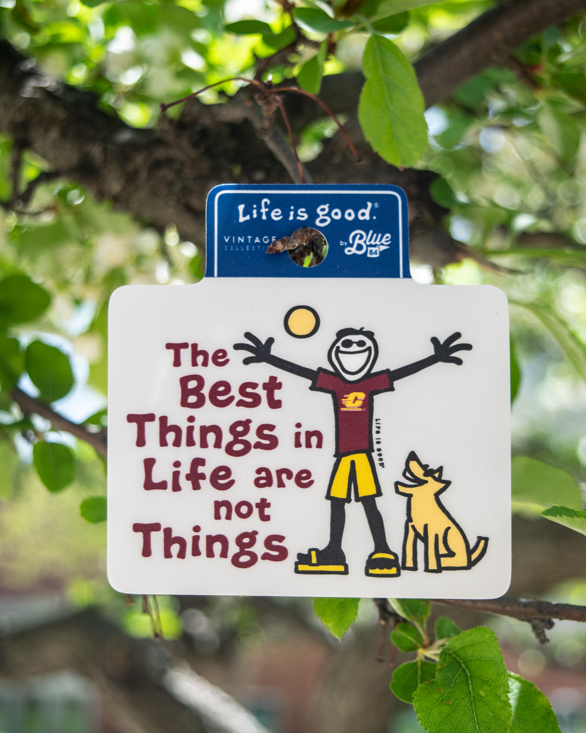 The Best Things in Life Are Not Things Action C Life is Good Sticker