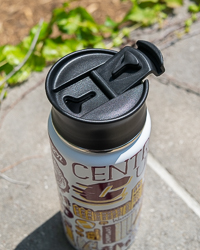 Julia Gash CMU Mural Stainless Steel Travel Tumbler