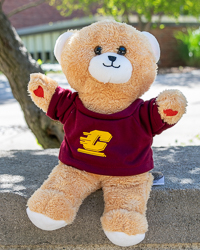 Tan & White Plush Bear with Action C T-Shirt