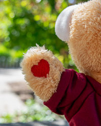 Tan & White Plush Bear with Action C T-Shirt