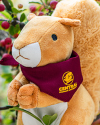 Tan Squirrel Stuffed Animal with Central Michigan University Bandana