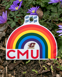 Action C CMU Rainbow Sticker