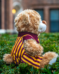 Tan Game Day Bibs Bear Stuffed Animal with Action C T-Shirt