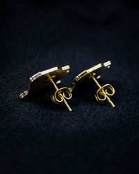 Action C Maroon & Gold Post Earrings