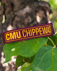 Action C CMU Chippewas Maroon Elastic Wristband