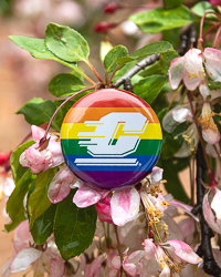 Action C Rainbow Stripes Pride Button