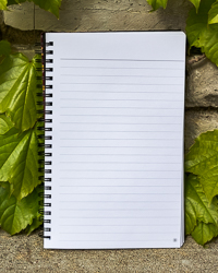 CMU Action C Maroon & Gold Daisy Print Spiral Notebook