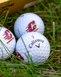 Action C Chrome Tour Premium Golf Balls 12 Piece Set