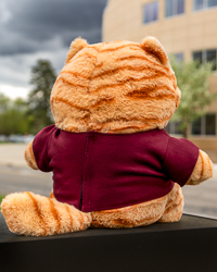 Orange Chubby Wubby Cat Stuffed Animal with Central Michigan University Seal T-Shirt