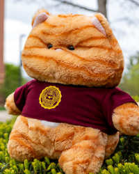 Orange Chubby Wubby Cat Stuffed Animal with Central Michigan University Seal T-Shirt