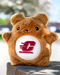 Fan-Cakes Action C Tan Bear Stuffed Animal