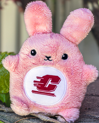 Fan-Cakes Action C Pink Bunny Stuffed Animal