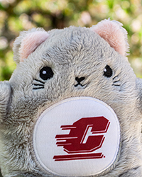 Fan-Cakes Action C Gray Cat Stuffed Animal