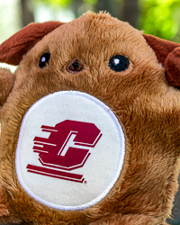 Fan-Cakes Action C Brown Dog Stuffed Animal