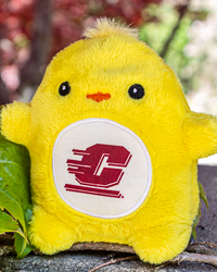 Fan-Cakes Action C Yellow Duck Stuffed Animal (5064787398) Fan-Cakes Action C Yellow Duck Stuffed Animal