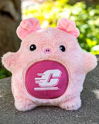 Fan-Cakes Action C Pink Pig Stuffed Animal