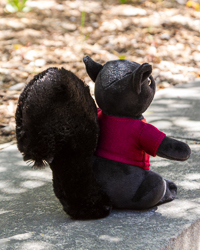 Black Squirrel Stuffed Animal with Central Michigan University T-Shirt