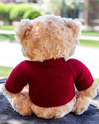 Toffee Bear Stuffed Animal with Maroon Action C Sweater