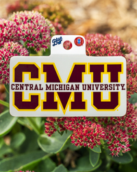 Central Michigan University CMU Gray Rectangle Sticker